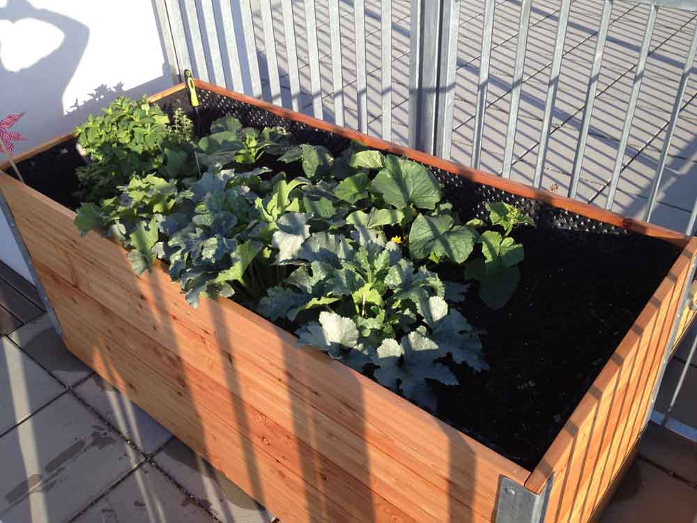 Hochbeet fr balkon selber bauen: hochbeet selber bauen schritt f?r ...
